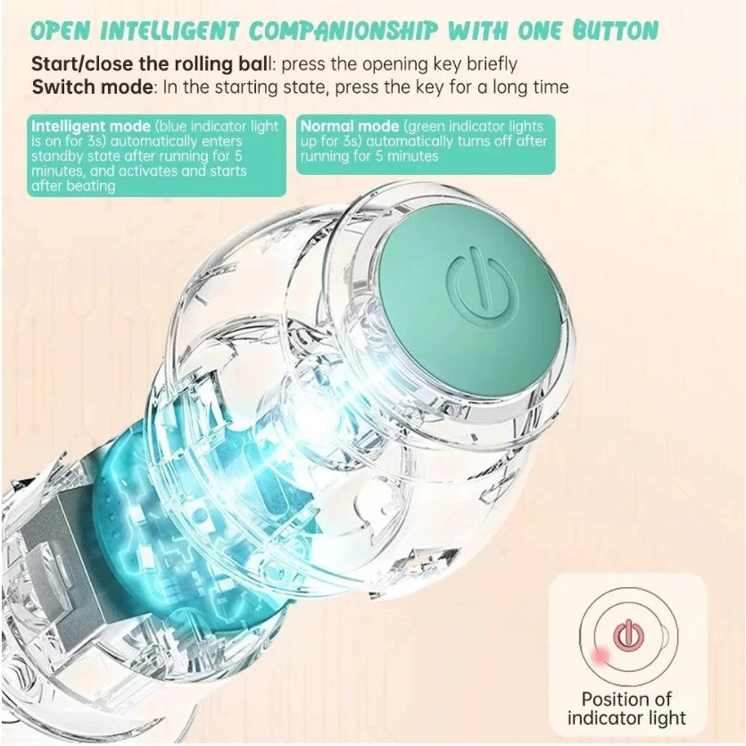 PetCove Smart Automatic Rolling Ball Toy